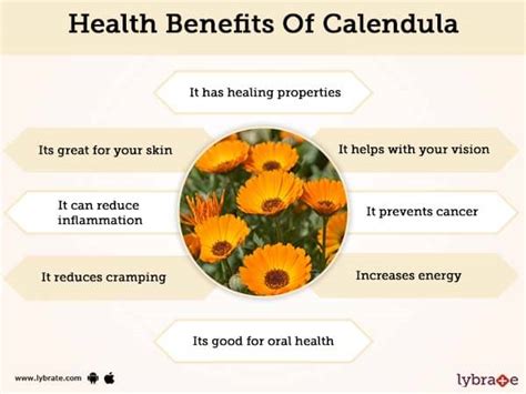 Calendula BenefIts Its Side Effects | Lybrate