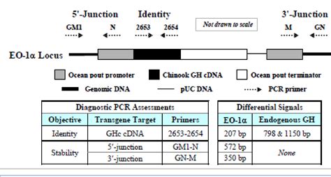 [PDF] AquAdvantage Salmon Genetically modified organism | Semantic Scholar