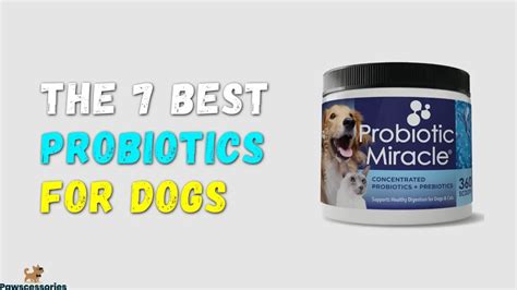 7 Best Probiotics For Dogs In 2022 (Vet Reviewed & Approved)