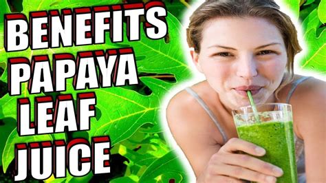 Discover the Amazing Health Benefits of Papaya Leaf Juice