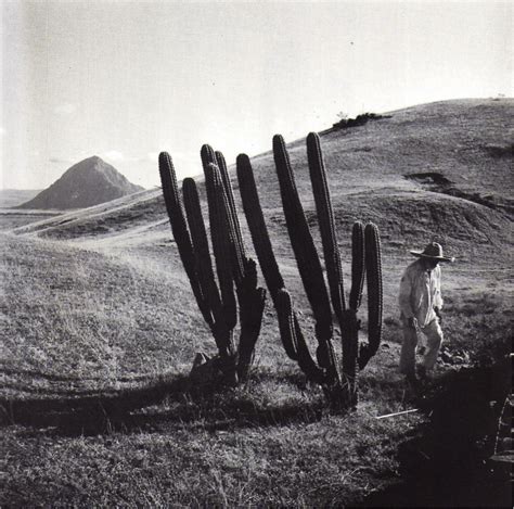 juan rulfo fotografo - Google Search | History of photography, American photography, Mexican artists