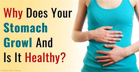 Why Does Your Stomach Growl? | Ramsey, NJ Patch