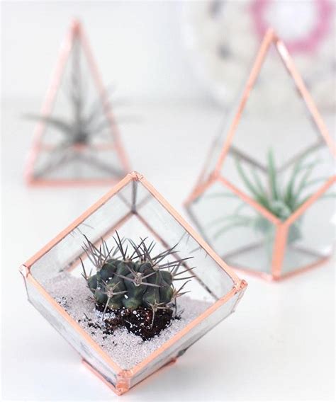 Gorgeous DIY Glass Terrarium | DIYIdeaCenter.com