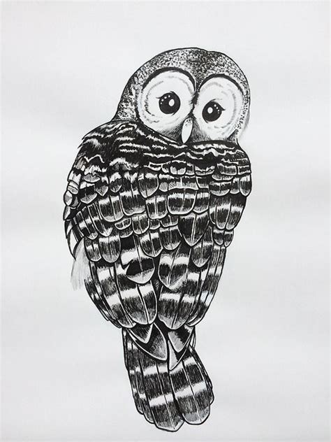 Barred Owl Sketch at PaintingValley.com | Explore collection of Barred Owl Sketch