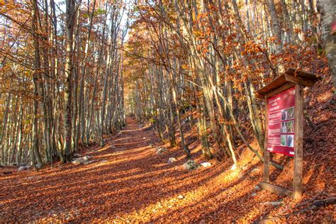 Hiking in Lovcen National Park - Hikes & Tips for Great Adventure