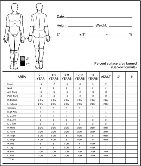 Lund And Browder Chart : Burn Injuries in Children / Special considerations in paediatric burn ...