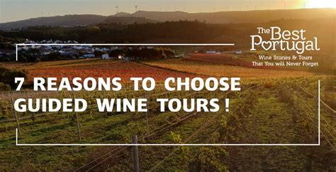 7 Reasons to Choose Guided Wine Tours