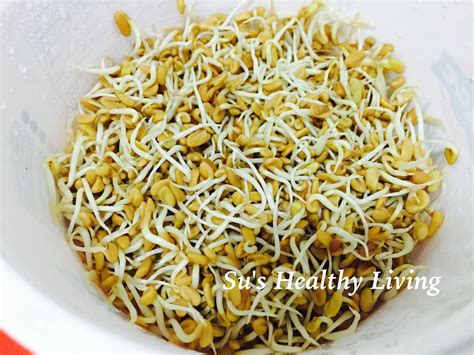 Su'sHealthyLiving: Methi ( Fenugreek)Sprouts Salad; Diabetes Friendly Thursday