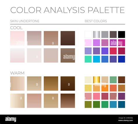 Color Analysis Palette by Cool and Warm Skin Tones and the Best Color Swatches Stock Vector ...