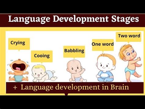 language development stages in childhood | babbling cooing - YouTube