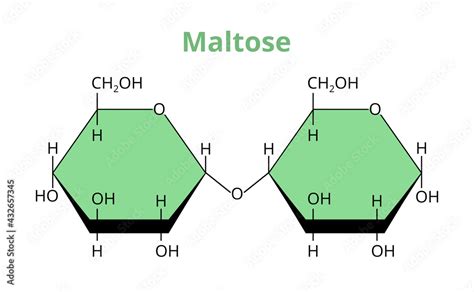 Structural Formula Of Maltose