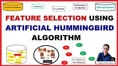 Feature Selection using Artificial Hummingbird Algorithm || Step-By ...