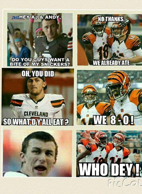 23 Bengals Fan MEMEs ideas | cincinnati bengals, bengals, football funny