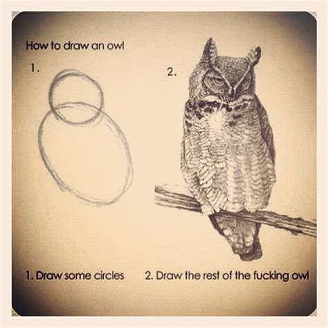 how to draw an owl - Meme by Taytym :) Memedroid