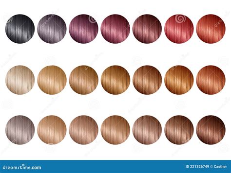 Hair Color Palette with a Range of Swatches. Tints. Color Chart for Hair Dye Stock Image - Image ...