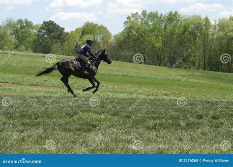 Horse Competition stock photo. Image of horse, power, running - 2276268