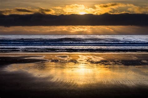 St Cyrus beach and cliff, St Cyrus (Walkhighlands)