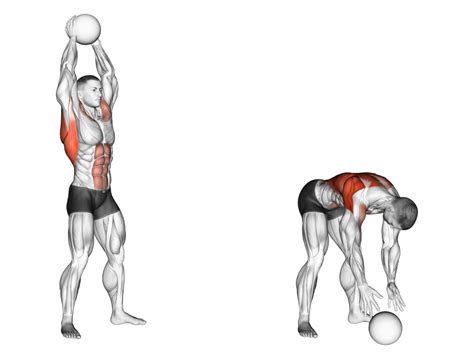 Medicine Ball Slam Alternatives: How to Target the Same Muscles - Inspire US