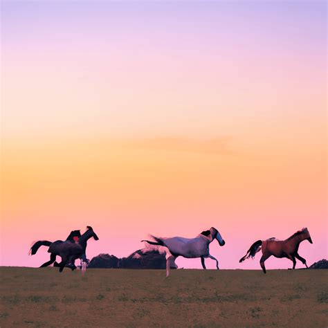 Horses Running at Sunset · Creative Fabrica