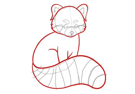 How To Draw Red Panda Draw Red Panda Clipart 625141 P - vrogue.co