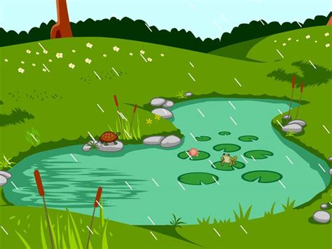 Freshwater Habitats Lesson Plans and Lesson Ideas | BrainPOP Educators | Fresh water, Habitats ...