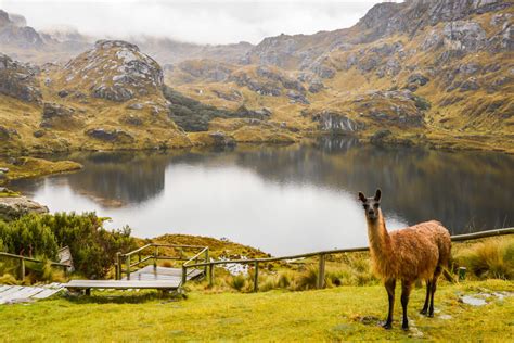 ATRACTIVOS TURISTICOS DEL ECUADOR: PAGINA 1