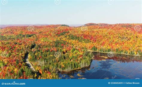 High Aerial View of the Colors of Fall in the Laurentians Near the Lac-des-arpents-verts Stock ...