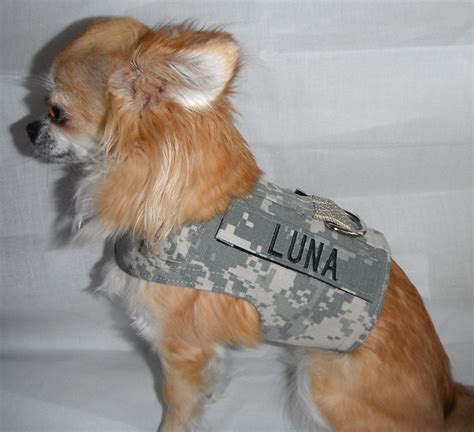 Army ACU Dog Harness with your Dogs Name Tab - Size XS, S, M. $30.00, via Etsy. | Army dogs, Dog ...