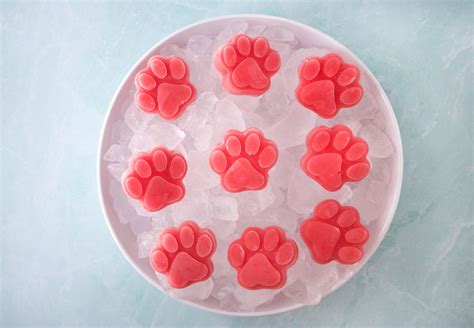 4 Simple Watermelon Dog Treats - The Produce Moms