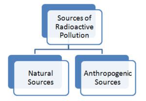 Radioactive Pollution PPT | PDF | Presentation