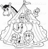 Circus Adult Coloring Pages sketch template