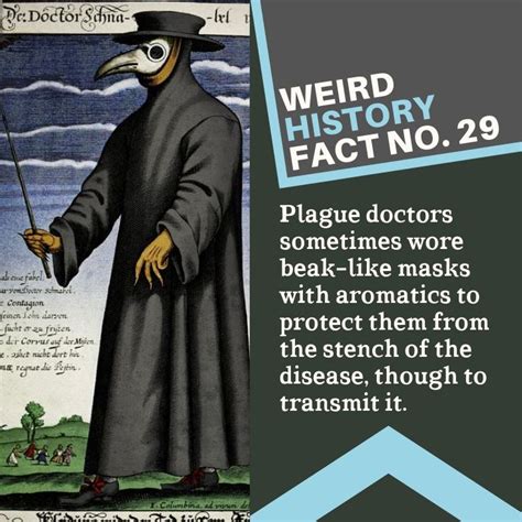 WEIRD HISTORY FACT NO. 29 | Weird history facts, History facts ...