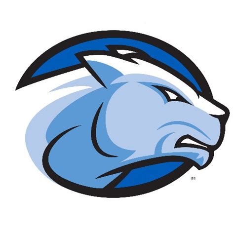 Assistant Men’s Basketball Coach – Wheaton College (MA) - HoopDirt