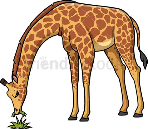 Giraffe Eating Grass Cartoon Clipart Vector - FriendlyStock