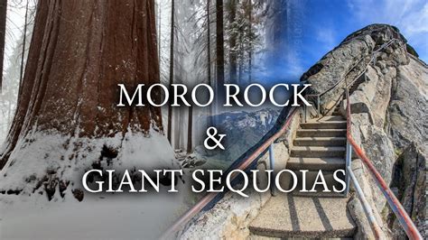 Hiking Moro Rock & The Giant Forest in the Winter - YouTube