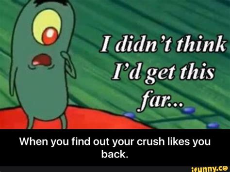 Plankton Memes