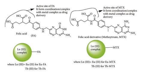 The chemical structures of folic acid (FA), methotrexate (MTX), and the... | Download Scientific ...