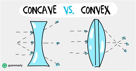 Concave vs. Convex | Grammarly