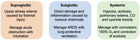 Burn Injuries: Initial Evaluation and Management - OpenAnesthesia