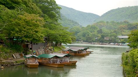 Arashiyama Monkey Park in Kyōto, | Expedia