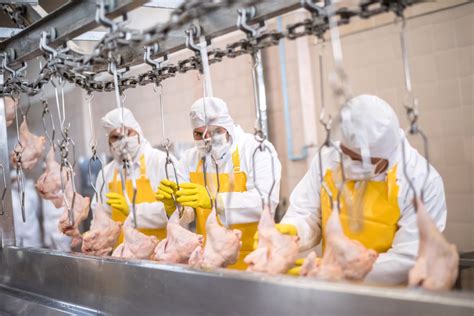 People working at a chicken factory | FastPaks