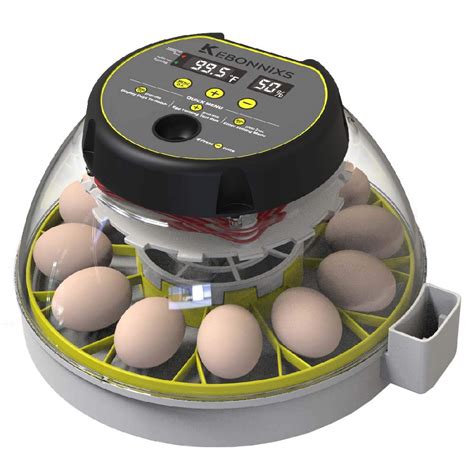 Buy 12 Egg Incubator with Humidity Display, Egg Candler, Automatic Egg Turner, for Hatching ...