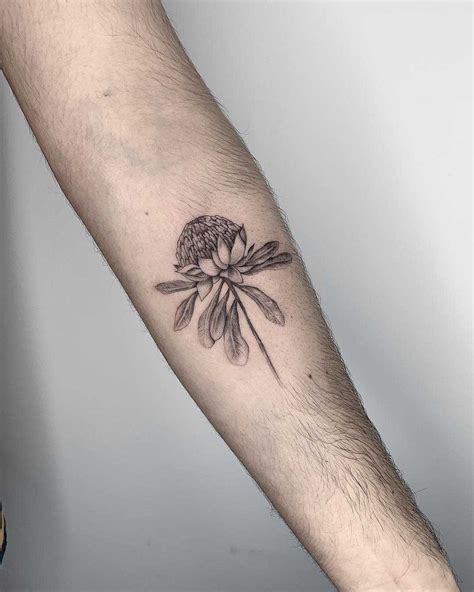 Fineline Waratah flower tattoo by Conz Thomas - Tattoogrid.net