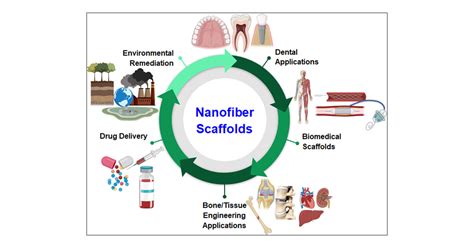 Recent Advances in Designing Fibrous Biomaterials for the Domain of Biomedical, Clinical, and ...