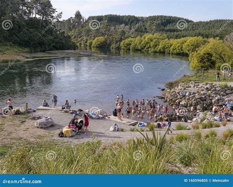 985 Rotorua Hot Springs Stock Photos - Free & Royalty-Free Stock Photos ...