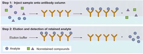 Typical format in which a sample containing the analyte is applied to... | Download Scientific ...