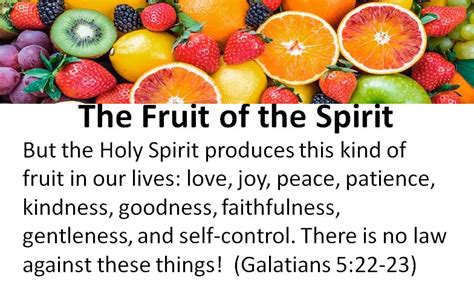 Pastor Chris' Blog: The Fruit of the Spirit - Love