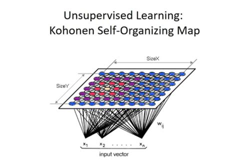 Self-Organizing Maps for Artificial Intelligence Algorithms