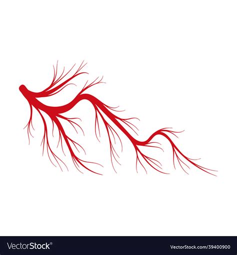 Vein of human cartoon icon Royalty Free Vector Image