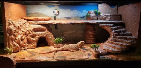 We used Styrofoam and Grout to create the habitat. The floor is made of Styrofoam, grout, and ...